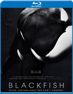 黑鲸/黑鲸鱼/黑鱼 BLACKFISH(2013)· (·)豆瓣评分：· · 