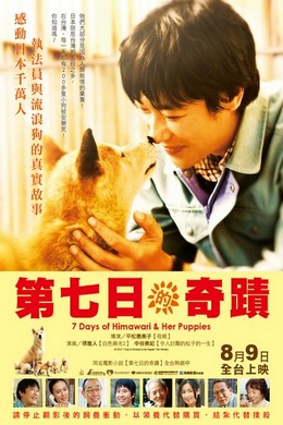 向日葵与幼犬的7天 /第七日的奇迹爱心流浪动物感动社会人性 (2013)豆瓣评分：7.6 · 