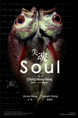 失魂 SOUL(2013)· (·)豆瓣评分：· · 