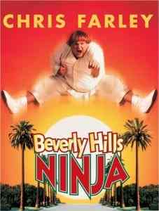 比佛利武士Beverly Hills Ninja (1997)豆瓣评分：6.4 . 