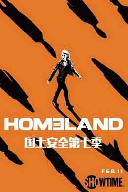 国土安全 第七季 3碟 豆瓣9.2 HOMELAND SEASON 7 （2018） 