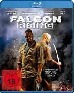 猎鹰突起 FALCON RISING (2014)豆瓣评分：· · 