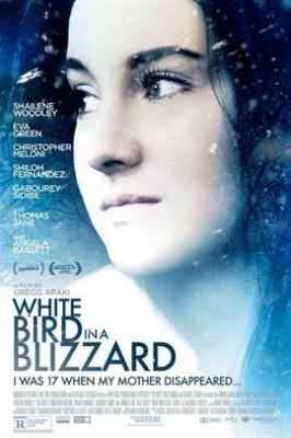暴风雪中的白鸟 又名: 反思中的娇娇女 / 風雪少女離奇命案(港) White Bird in a Blizzard (2014)豆瓣评分：· · 