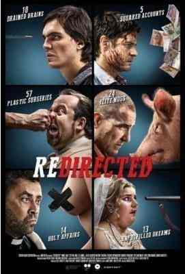 杀回归家路 2015网络好评率很高的新上映动作喜剧电影Redirected (2015)豆瓣评分：6.3 ` 