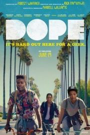 酷毙了/嗑嗨了 DOPE (2015) · (·)豆瓣评分：· · 