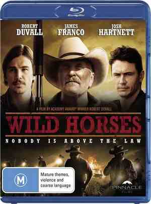 野马（美国版） - Wild Horses 2015 