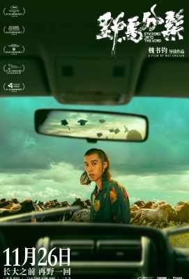 野马分鬃 2020年国产剧情佳作triding into the Wind (2020)豆瓣评分：6.4 . 