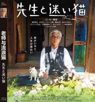 老师与流浪猫 2015 日本 