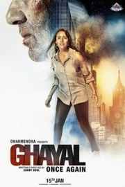 铁窗怒火续集 印度片 GHAYAL ONCE AGAIN (2016) 