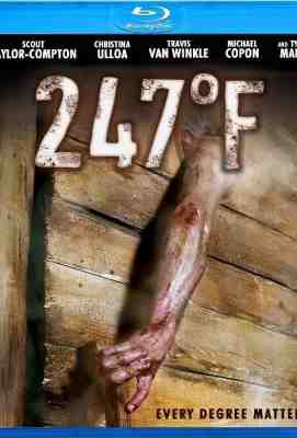华氏247 247°F (2011)· (2011)豆瓣评分：4.6 · 