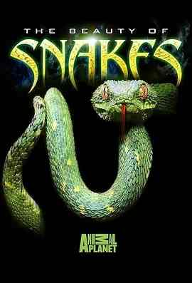 蛇之惊艳奇观 THE BEAUTY OF SNAKES (2005)豆瓣评分：7.9 · 