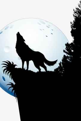 IMAX 狼(蓝光原版)Wolves (199)豆瓣评分：8.0 · 