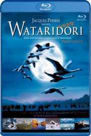 BD50 鸟的迁徙 WINGED MIGRATION 2002年奥斯卡最佳记录片提名 