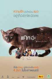擅离职守的猫咪 豆瓣6.4 喵星人与爱 2015 
