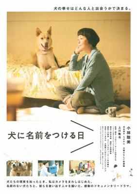 为你取名的那一天 豆瓣7.6 2015 
