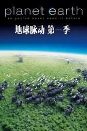 地球脉动/行星地球 第一季 6碟 豆瓣评分9.7 带国粤语配音Planet Earth Season (·)豆瓣评分：9.7 · 