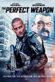 终极武器/未来杀手 2016 豆瓣3.7 THE PERFECT WEAPON （2016） 