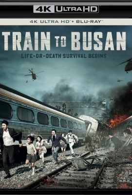 4K UHD【 釜山行/尸杀列车/尸速列车】杜比视界 Train to Busan (2016)豆瓣评分：8.6 . 