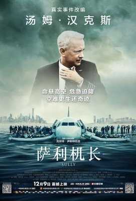 萨利机长：迫降奇迹 萨利机长：哈德逊奇迹/哈德逊河奇迹/萨利 SULLY (2016)SULLY (2016)豆瓣评分：8.4 · 