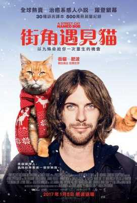 流浪猫鲍勃/街角遇见猫 带静音 2016A Street Cat Named Bob (2016)豆瓣评分：8.2 · 