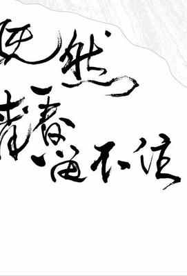 BD50 李宗盛：既然青春留不住，还是做个大叔好 李宗盛2016年演唱会 Live Tour全紀錄（2016）50G 