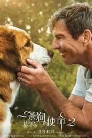 一条狗的使命2/狗狗的旅程2A Dog’s Journey (2019)豆瓣评分：6.9 · 