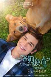 一条狗的使命 感人动物题材喜剧A Dog’s Purpose (2017)豆瓣评分：7.7 · 