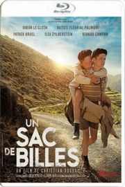 BD50 一袋弹子 （2017）UN SAC DE BILLES (2017)豆瓣评分：8.0 ·50G 