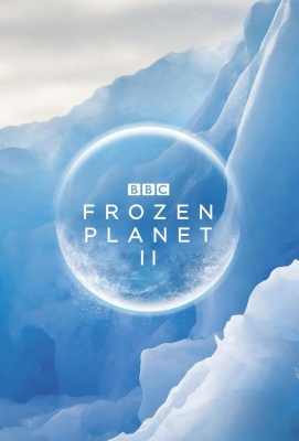 【冰冻星球第二季 2碟装 】BBC EARTH星球系列年度巨制《冰冻星球II》 Frozen Planet Season 2 (2022)豆瓣评分：9.7 . 