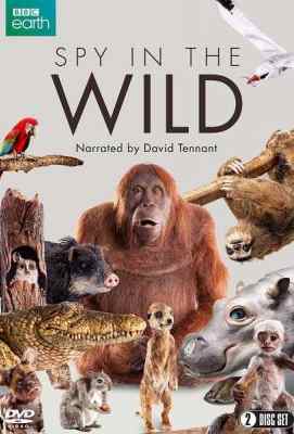 【BBC：荒野间谍 第一季】2碟  Spy in the Wild Season 1 (2017)豆瓣评分：9.5 · 