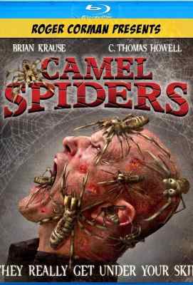 骆驼蜘蛛 (2011)Camel Spiders (2011)豆瓣评分：2.7 · 