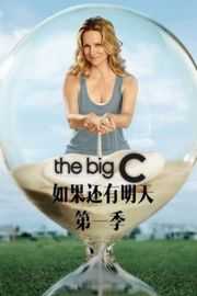 如果还有明天 第一季（2010）2碟 
