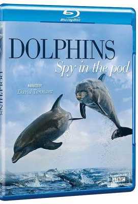 【BBC】卧底海豚帮 Dolphins - Spy in the Pod ( 2014)豆瓣评分：9.1 · 