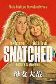 母女大战/抢救千金/带着老母去旅行 SNATCHED (2017)豆瓣评分：5.5 · 