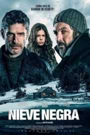 黑雪 (2017)NIEVE NEGRA (2017)豆瓣评分：· · 