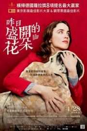 昨日之花（2016）豆瓣6.5 