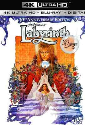 魔幻迷宫 HDR+杜比视界 豆瓣7.2 LABYRINTH (1986)豆瓣评分：7.2 · 