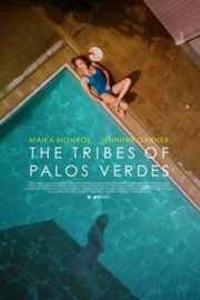 帕洛斯弗迪斯的部落The Tribes of Palos Verdes (2017)豆瓣评分：6.4 . 