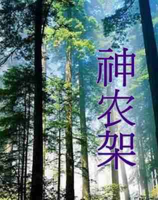 神农架 2011 HDTV高清版 不兼容PS3 PS4 