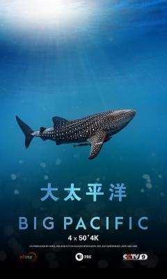BD50 大太平洋 2017 Big Pacific 豆瓣9.1· (·)豆瓣评分：· 9.1· 50G 