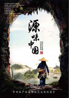 源味中国 2018 豆瓣8.4 HDTV高清版 不兼容PS3 PS4 