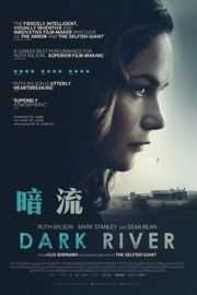 暗流 2017 豆瓣5.6 Dark River （2017） 