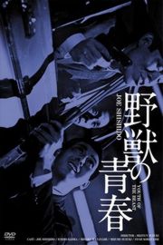 野兽的青春（1963）豆瓣7.3 