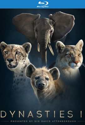【BBC：王朝 第二季 2022 】Dynasties Season 2 (BBC超燃纪录片《王朝》，堪称自然界“权)豆瓣评分：9.6 . 