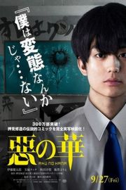 恶之华 2019 <机关枪乖乖女><毒妇>导演