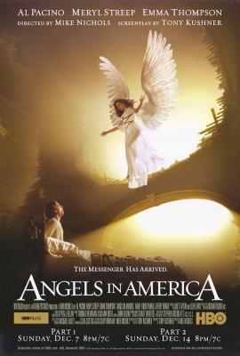 天使在美国 2碟 ANGELS IN AMERICA (2003) TV版+戏剧版 高清版 不兼容PS 豆瓣8.6 