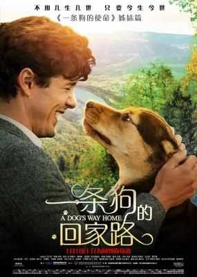 一条狗的回家路/贝拉400哩的约定 A DOG’S WAY HOME (2019) 豆瓣6.9 