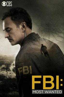 联邦调查局：通缉要犯 第一季 2碟 FBI：MOST WANTED SEASON 1(2020) 豆瓣5.9 高清版 