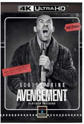 4K UHD 复仇者 AVENGEMENT 2019 