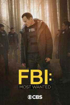 联邦调查局：通缉要犯 第二季 FBI: MOST WANTED SEASON 2‎ (2020) 3碟 高清版 豆瓣7.0 